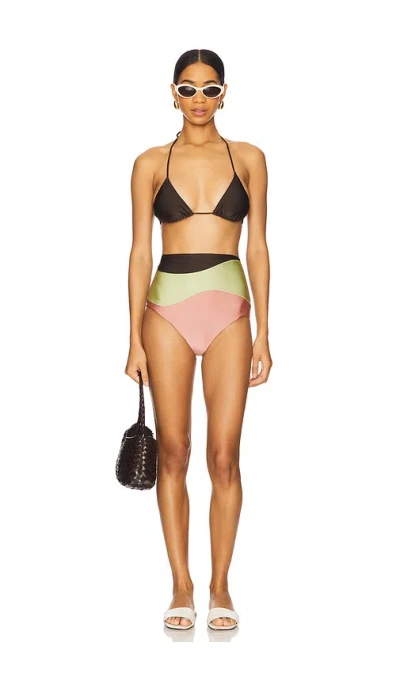 Adriana Degreas Giardino High-waisted Bikini Set In Coffee  Green & Pink