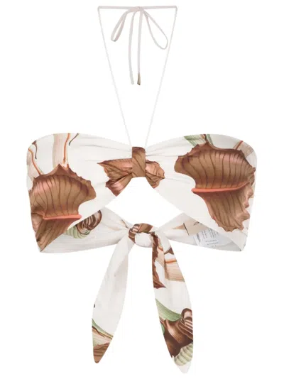 Adriana Degreas Graphic-print Cropped Top In Neutrals