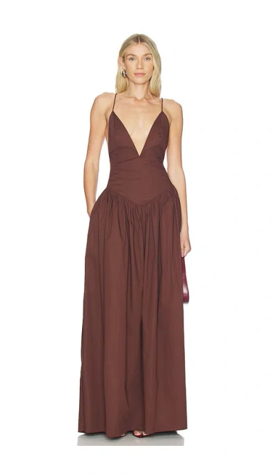 Adriana Degreas Opulence Deep-v Maxi Dress In Brown