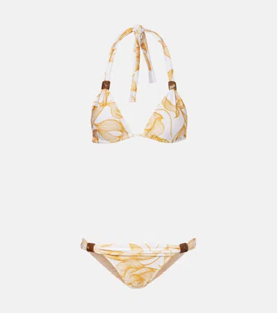 Adriana Degreas Printed Bikini In Brown
