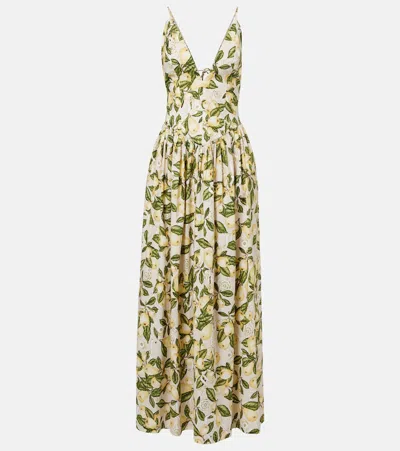 Adriana Degreas Printed Cotton-blend Maxi Dress In Green