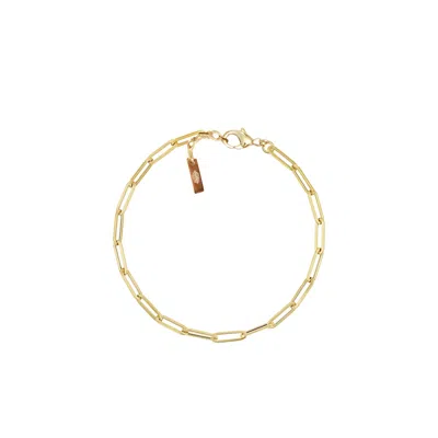 Adriana Pappas Designs Women's Gold Paperclip Chain Bracelet