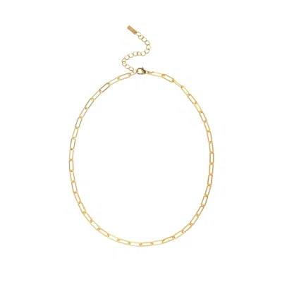 Adriana Pappas Designs Women's Gold Paperclip Chain Necklace