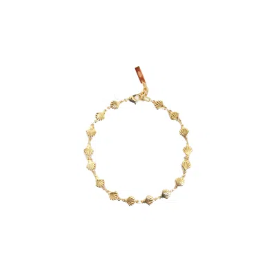 Adriana Pappas Designs Women's Golden Shells Anklet