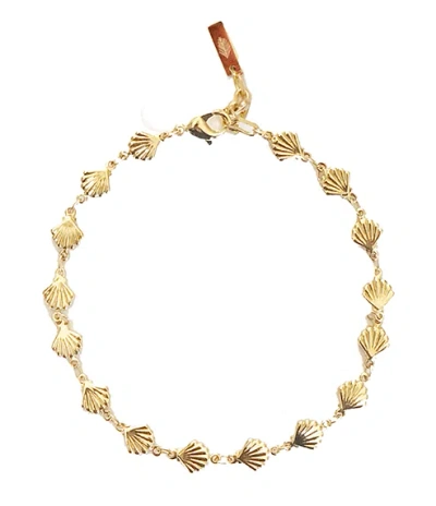Adriana Pappas Designs Women's Golden Shells Choker