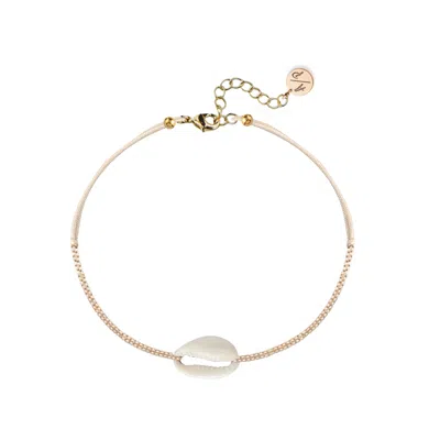 Adriana Pappas Designs Women's Mini Natural Shell 14k Gold Filled Chain Anklet On Colored Cord - Rainbow In Yellow