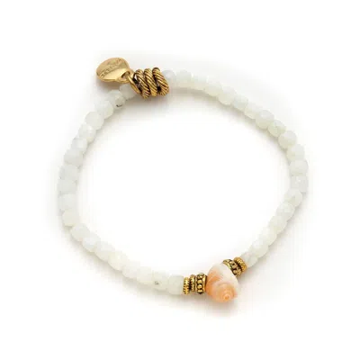 Adriana Pappas Designs Women's Mini Shell Stretch Bracelet - White