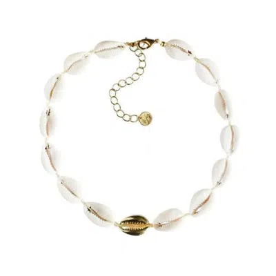 Adriana Pappas Designs Women's White Mini Metal Shell Accent Choker - Gold Filled