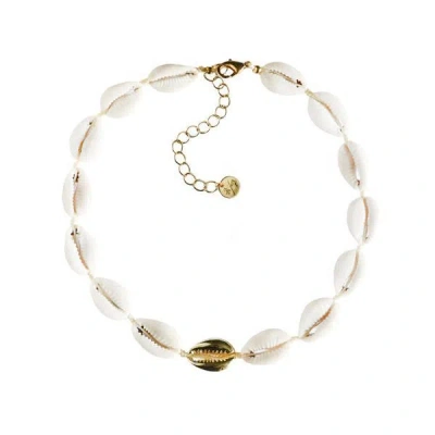 Adriana Pappas Designs Women's White Mini Metal Shell Accent Choker - Gold Plated