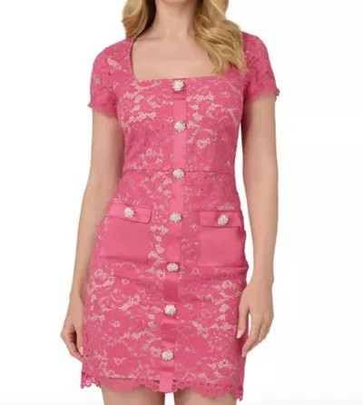 Adrianna Papell Corded Lace Short Dress In Petunia In Pink