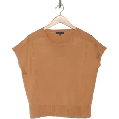 Adrianna Papell Exposed Seam Extended Sleeve Sweater In Copper Bronze