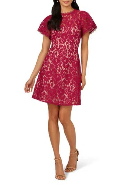 Adrianna Papell Short Sleeve Lace Illusion Short Dress In Light Wine In Pink