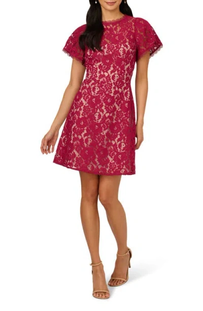 Adrianna Papell Flutter Sleeve Lace Dress In Pink