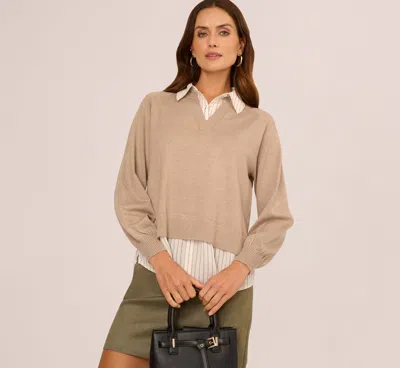 Adrianna Papell Long Sleeve Collared Printed Twover Sweater In H. Oatmeal W Staple Stripe In Nude