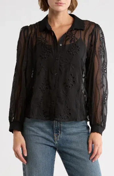 Adrianna Papell Long Sleeve Sheer Floral Eyelet Lace Button-up Top In Black