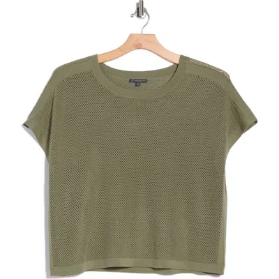 Adrianna Papell Open Stitch Short Sleeve Sweater In Green