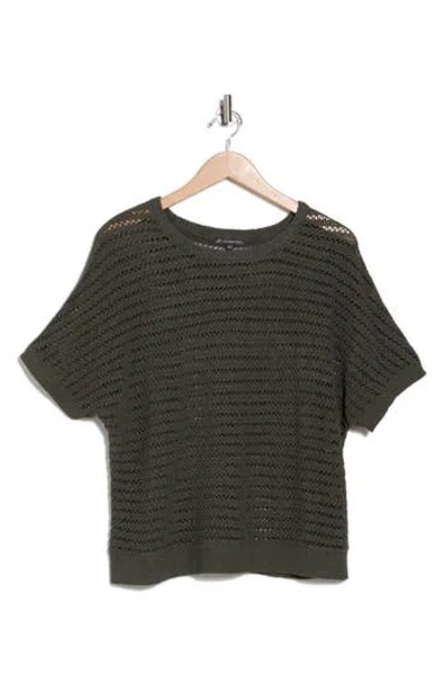 Adrianna Papell Open Stitch Sweater In Green