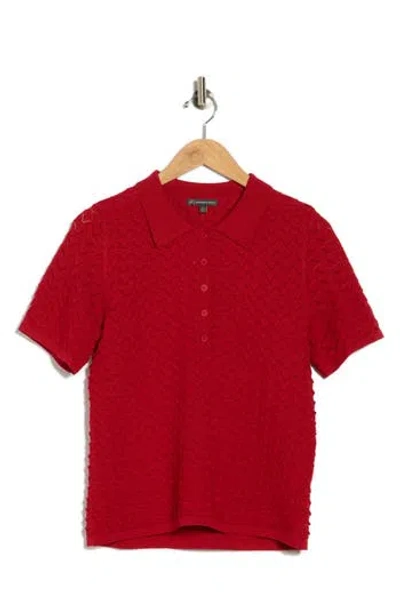Adrianna Papell Pointelle Short Sleeve Sweater In Red