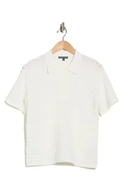 Adrianna Papell Pointelle Short Sleeve Sweater In White