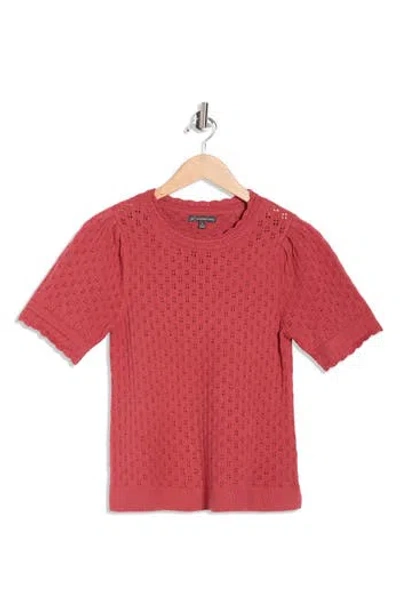 Adrianna Papell Pointelle Stitch Short Sleeve Sweater In Brown