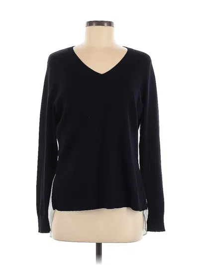 Pre-owned Adrianna Papell Pullover Sweater In Blue