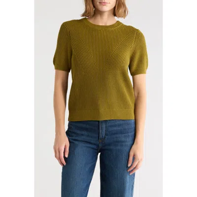 Adrianna Papell Ribbed Crewneck Short Sleeve Sweater In Green