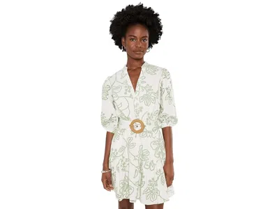 Adrianna Papell Short Cotton Dress Women's Dress Ivory/sage: 10 In White