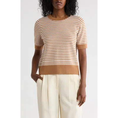 Adrianna Papell Stripe Short Sleeve Sweater In Brown