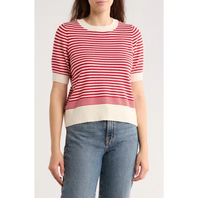 Adrianna Papell Stripe Short Sleeve Sweater In Pink