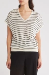 Adrianna Papell Stripe Vertical Rib Sweater In Multi