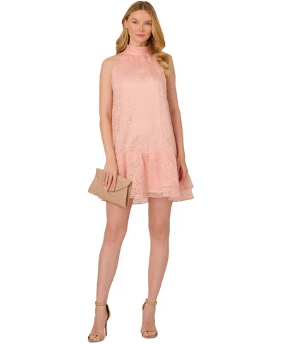Adrianna Papell Women's Burnout Trapeze Dress In Blush