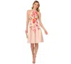 Adrianna Papell Women's Floral-print Pleated Fit & Flare Halter Dress In Champagne Multi