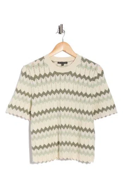 Adrianna Papell Zigzag Short Sleeve Pointelle Sweater In Multi