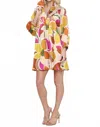 Adrienne High Ruffle Neck Silky Dress In Multi In Multi