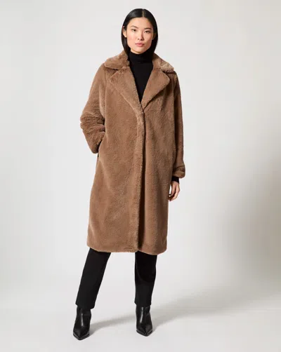 Adrienne Landau Delaney Teddy Coat In Brown