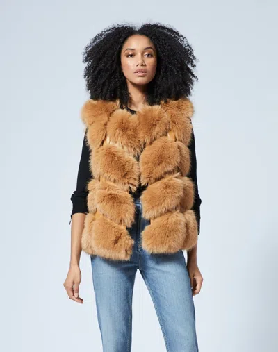 Adrienne Landau Faux Fur & Faux Leather Vest In Brown