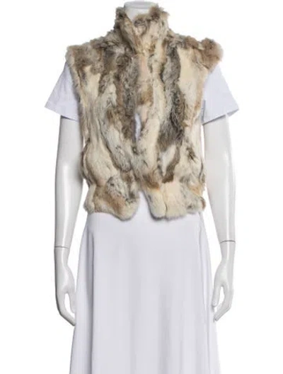 Pre-owned Adrienne Landau Fur Animal Print Vest In Neutrals