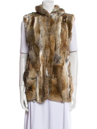 Pre-owned Adrienne Landau Fur Jacket In Brown