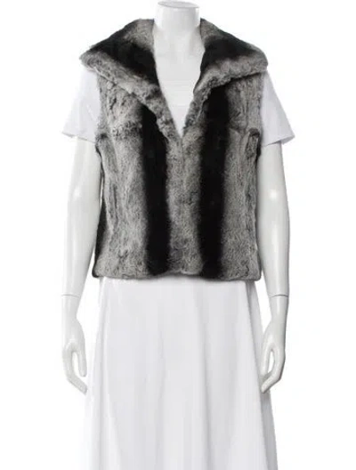 Pre-owned Adrienne Landau Fur Jacket In Gray