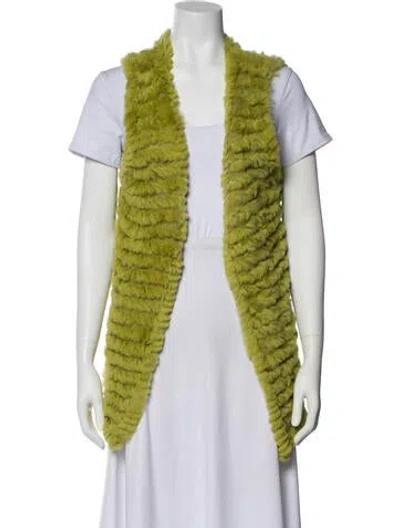 Pre-owned Adrienne Landau Fur Jacket In Green