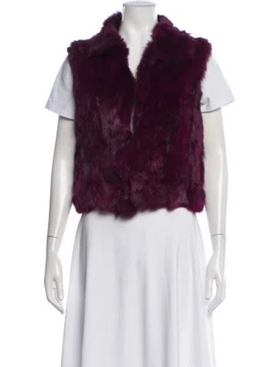 Pre-owned Adrienne Landau Fur Vest In Purple