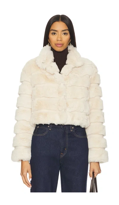 Adrienne Landau Goldie Jacket In Neutral