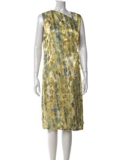 Pre-owned Adrienne Landau Printed Knee-length Dress In Green