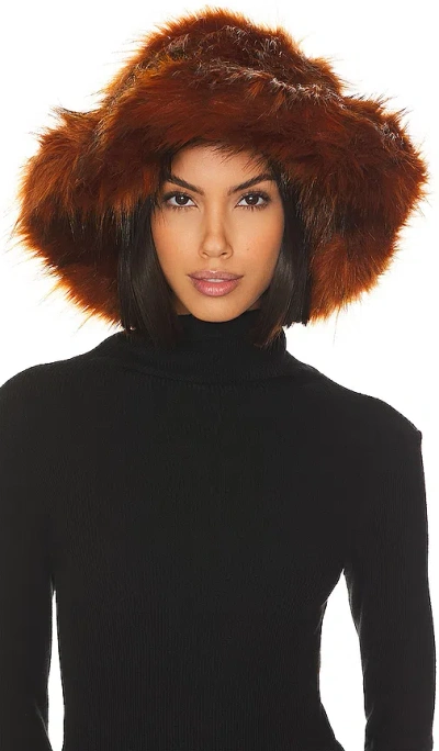 Adrienne Landau Faux Racoon Hat In Brown