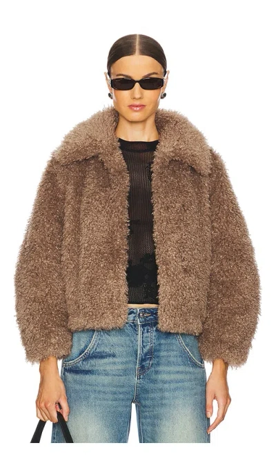 Adrienne Landau The Teddy Bomber In Tawny Brown