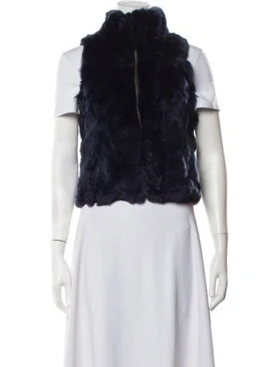 Pre-owned Adrienne Landau Vest In Blue