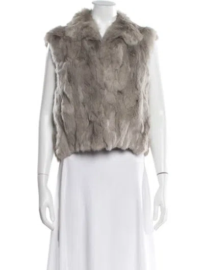 Pre-owned Adrienne Landau Vest In Gray