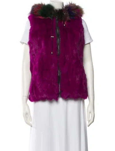 Pre-owned Adrienne Landau Vest In Purple
