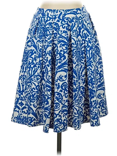 Pre-owned Adrienne Vittadini Casual Skirt In Blue