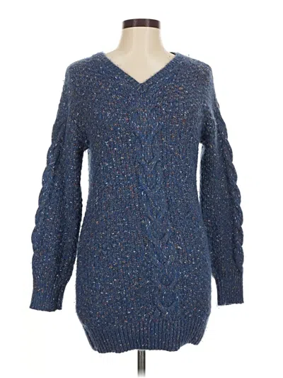 Pre-owned Adrienne Vittadini Pullover Sweater In Blue
